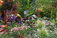 Chelsea Flower Show 2024